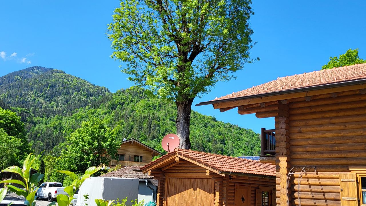 Blick zum Wildbarren Blick zum Wildbarren
